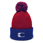 Load image into Gallery viewer, Pom-Pom Beanie
